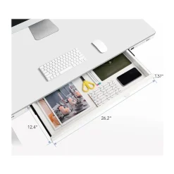 Standing Desks*FlexiSpot EW8 48