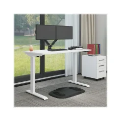 Standing Desks*FlexiSpot 48