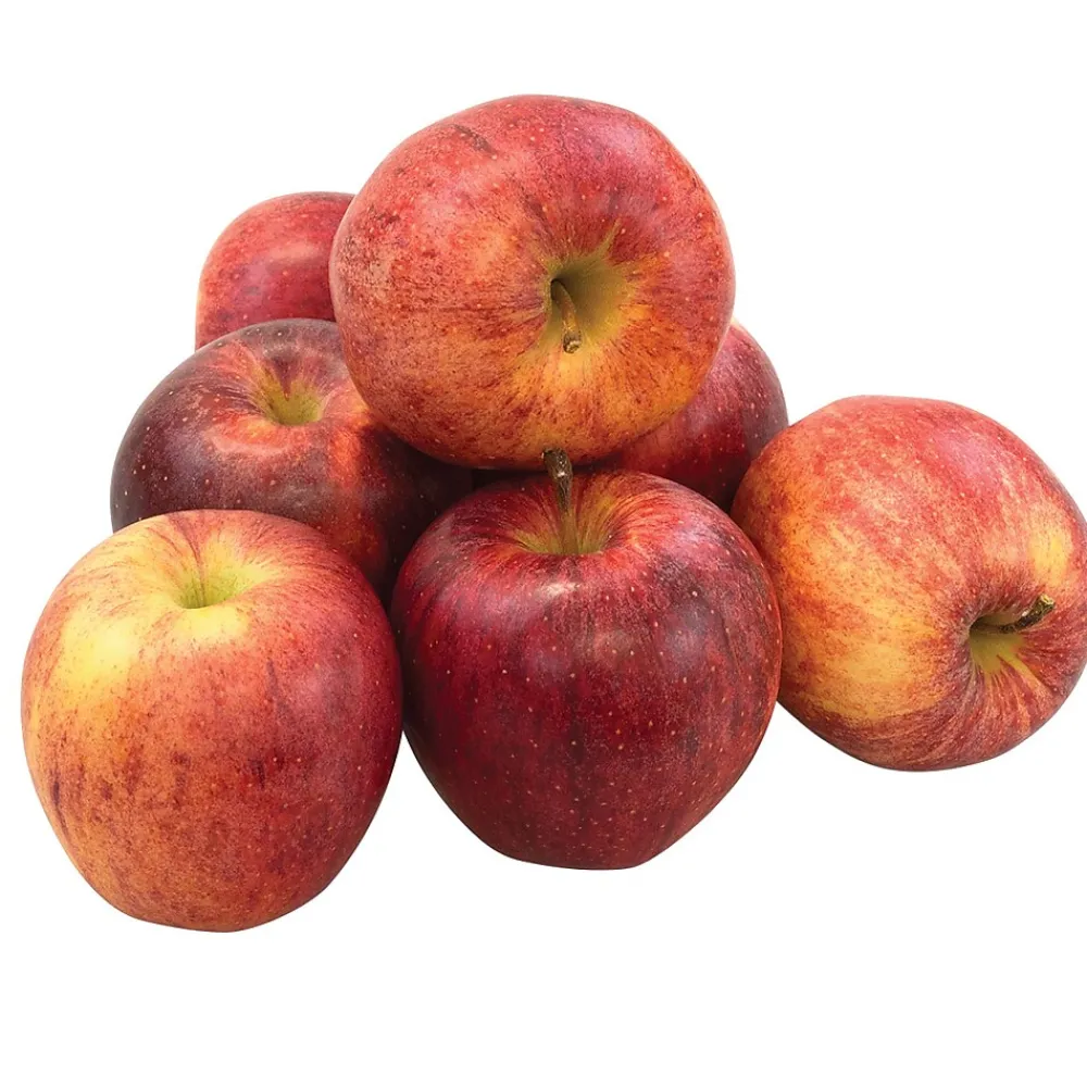 Fresh Groceries Fresh Gala Apples, 8/Pack (900-00032)