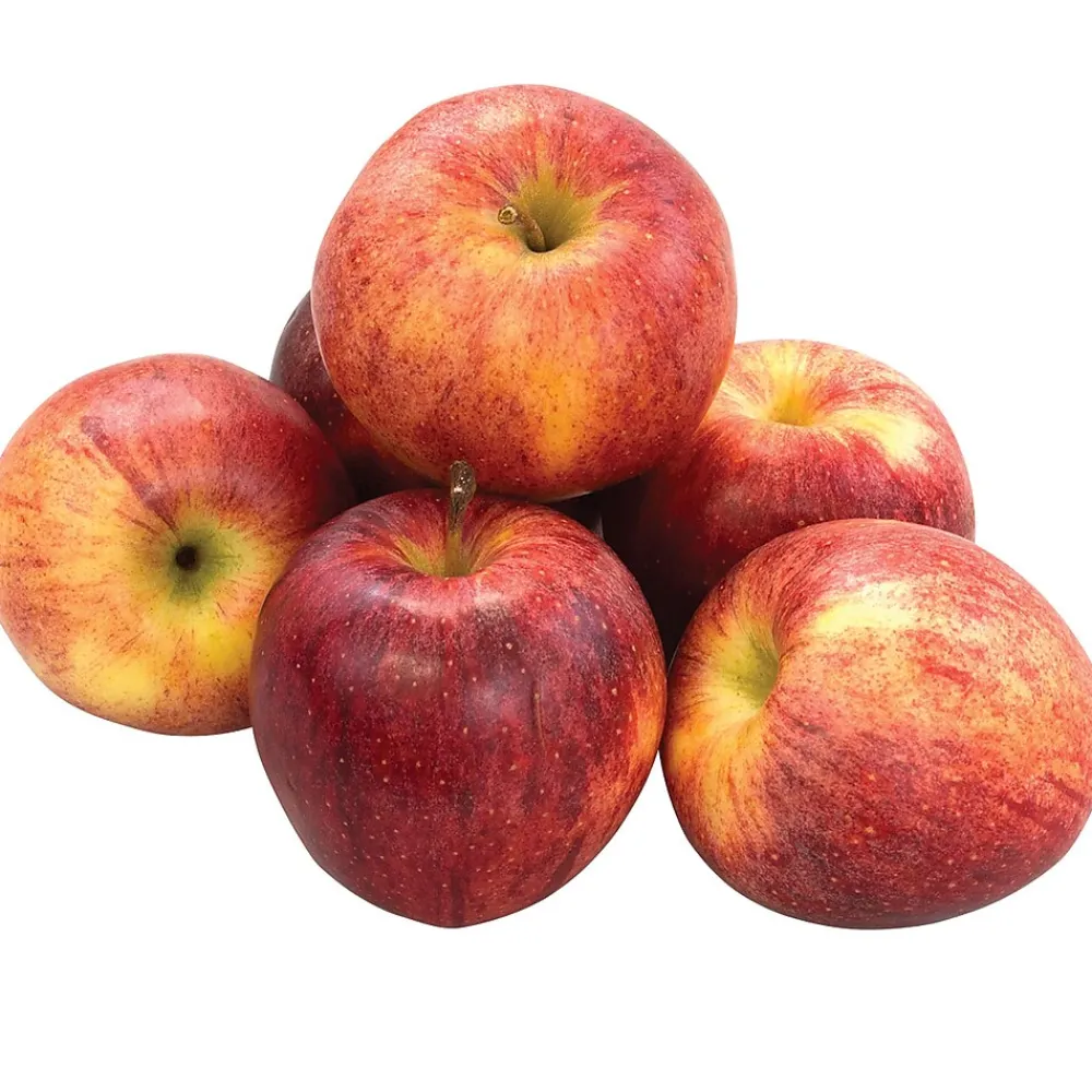 Fresh Groceries Fresh Gala Apples, 8/Pack (900-00032)