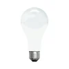 GE 200 Watt Soft White Incandescent neral-Purpose Bulb (11585)