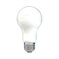 GE 9 Watt Soft White LED neral-Purpose Bulb, 2/Pack (93109032)