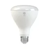 GE 8 Watt Soft White LED neral-Purpose Bulb Flood and light (48198)