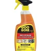 Pro-Power Goo & Adhesive Remover, Citrus, 24oz (WMN-2180A)<Goo Gone Hot