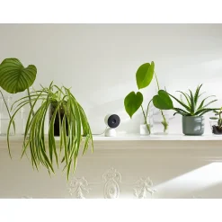 Google Nest GA01998-US Wired Indoor Camera with Motion Detection and Night Vision, White