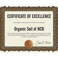 Awards & Certificates*Great Papers Cambridge Certificates, 8.5