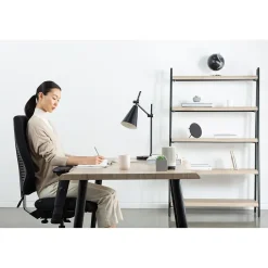 Office Chairs*Gry Mattr + ergoCentric airCentric3 Task Chair, Extra Long Seat, Black (AIR3STXL)