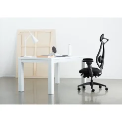 Office Chairs*Gry Mattr + ergoCentric sCentric Hybrid Task Chair, Black (sCentricST)