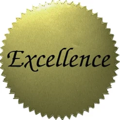Awards & Certificates*Flipside Hayes Publishing Excellence 2" Gold Certificate Seals, 50 Per Pack, 6 Packs (H-VA314-6)