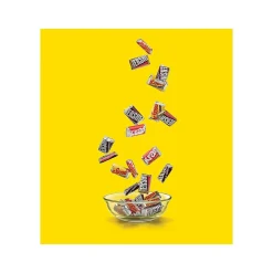 Hershey's Miniatures Assorted Chocolate Candy Bar, 66.7 oz. (246-00055)