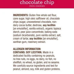 HomeFree Gluten Free Mini Chocolate Chip Cookies, 1.1 oz., 10/Pack (307-00360)