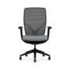 Office Chairs*HON Flexion Fabric/Mesh Task Chair, Basalt/Black (HFXT1.F0.STC.A.H.IM.APX25.NL.SB.T)