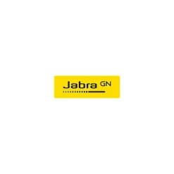 jabra Evolve2 4' USB A Male/C Male, Black (14208-31)