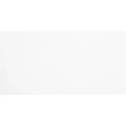 Clearance JAM Paper #16 Business Envelope, 6