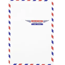Best JAM Paper 6 x 9 Airmail Open End Catalog Envelopes, White, 50/Pack (1430743I)