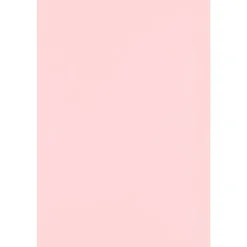 Card Stock*JAM Paper 12" x 18" Cardstock, Candy Pink, 50/pack (1218-C-14-50)