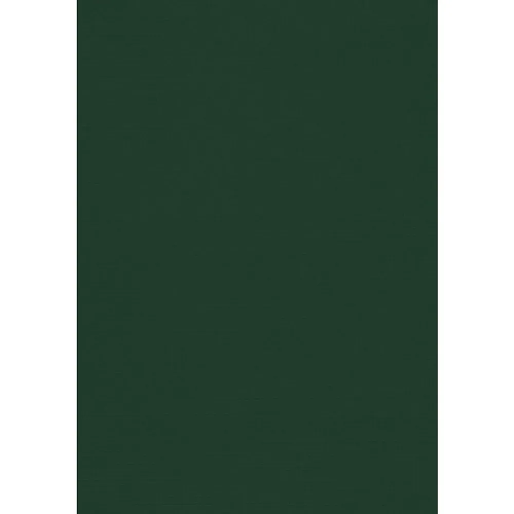 Card Stock*JAM Paper 12" x 18" Cardstock, Green Linen, 50/pack (1218-C-GNLI-50)