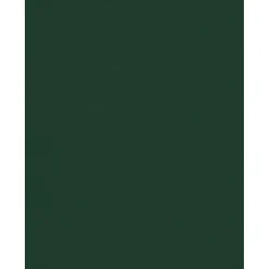 Card Stock*JAM Paper 8.5" x 11" Color Cardstock, Green Linen, 50/pack (81211-C-GNLI-50)