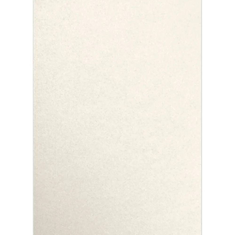 Multipurpose Paper*JAM Paper 13" x 19" Color Multipurpose Paper, 80 lbs., Champagne Metallic, 50 Sheets/Ream (1319-P-CHAM-50)