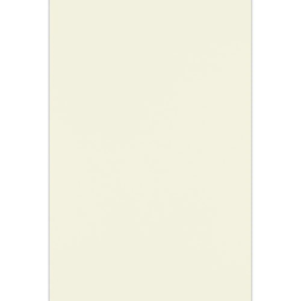 Multipurpose Paper*JAM Paper 11" x 17" Multipurpose Paper, 70 lbs., Natural, 50/Pack (1117-P-01-50)