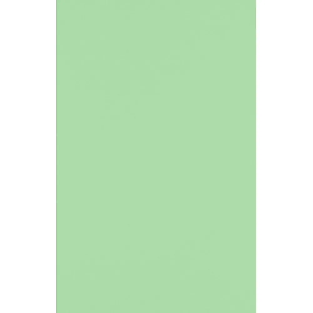 Multipurpose Paper*JAM Paper 11" x 17" Multipurpose Paper, 60 lbs., Pastel Green, 50/Pack (1117-P-67-50)