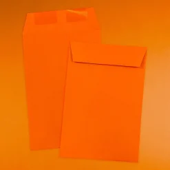 Best JAM Paper 6 x 9 Open End Catalog Colored Envelopes, Orange Recycled, 50/Pack (88129i)