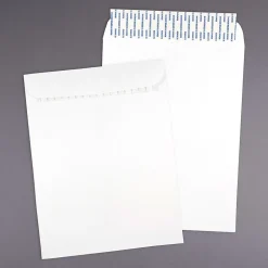 Online JAM Paper ® 9 x 12 Open End Catalog Envelopes with Peel and Seal Closure, White, Bulk 100/Pack (356828780C)