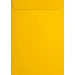 JAM Paper 6 x 9 Open End Envelopes, Sunflower Yellow, 50 Pack (EX1644-12-50)