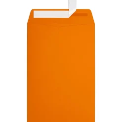 Online JAM Paper 6 x 9 Open End Envelopes ,Mandarin Orange, 50 Pack, Orange (EX1644-11-50)