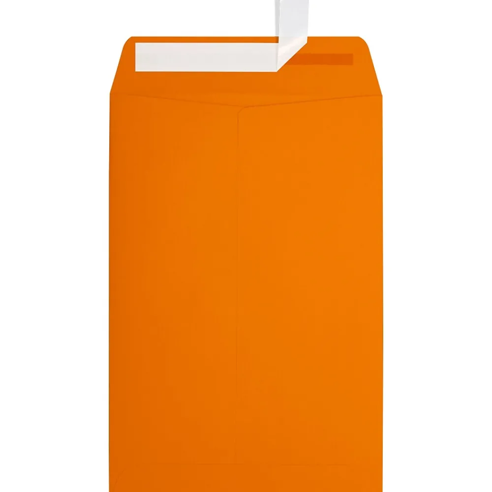 Online JAM Paper 6 x 9 Open End Envelopes ,Mandarin Orange, 50 Pack, Orange (EX1644-11-50)
