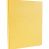 Card Stock*JAM Paper 8.5" x 11" Vellum Bristol Cardstock, 67lb, Light Orange, 100/pack (169821G)