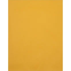 JAM Paper Catalog Envelope 10