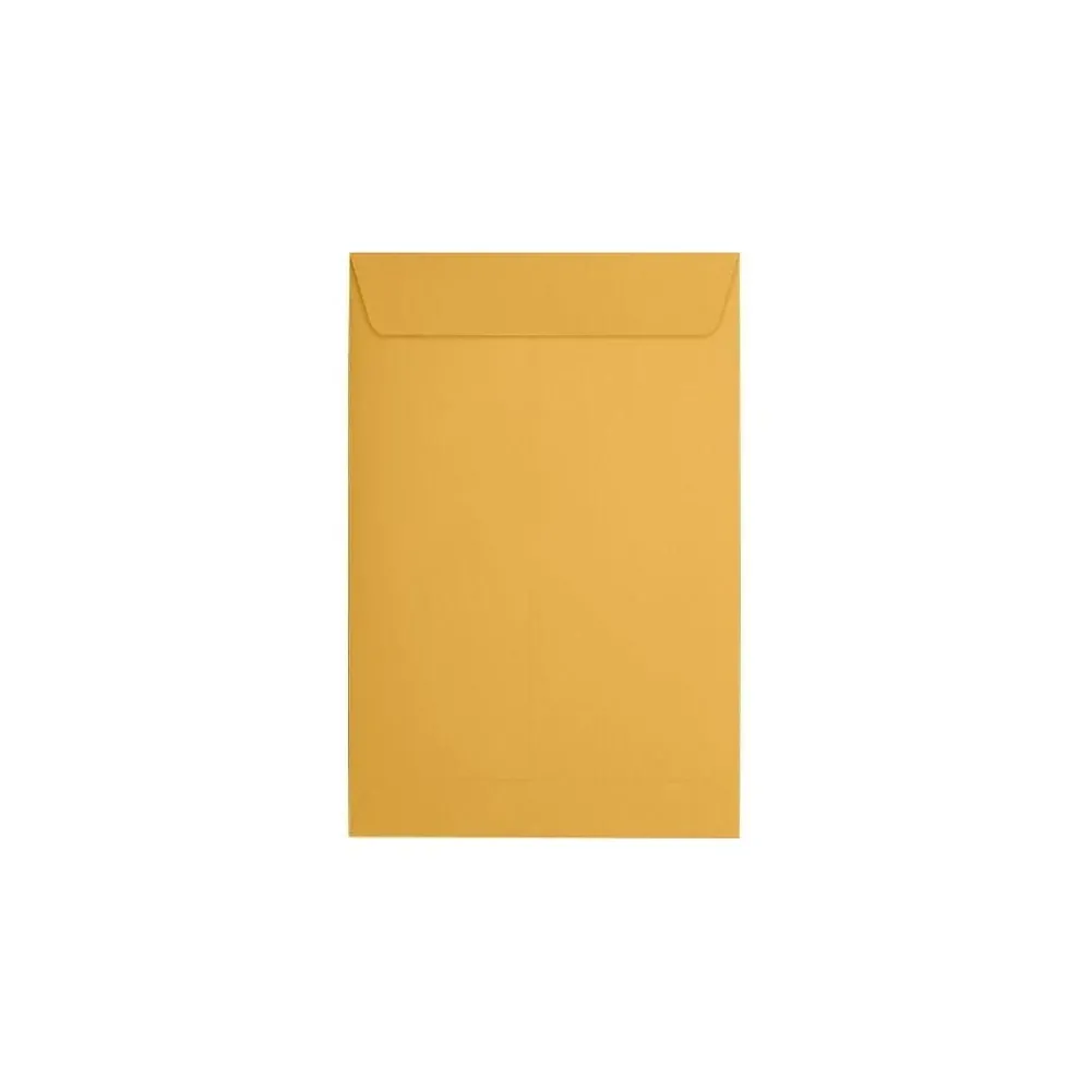 Outlet JAM Paper Catalog Envelope 6" x 9", Brown Kraft Manila, 50/Pack (1693i)