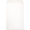 Online JAM Paper Catalog Envelope 6" x 9", White, 100/Pack (1623192d)