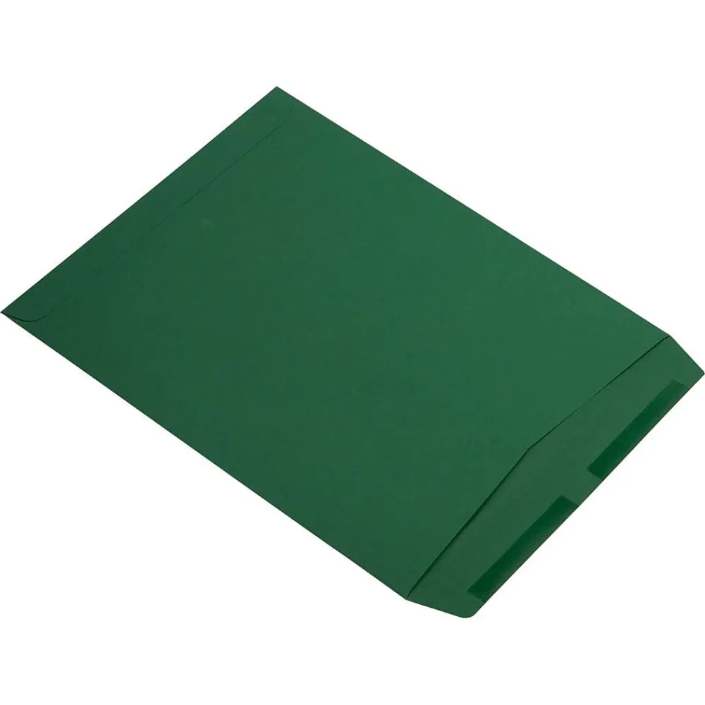 Online JAM Paper Catalog Envelope 10" x 13", Dark Green, 25/Pack (31287538)