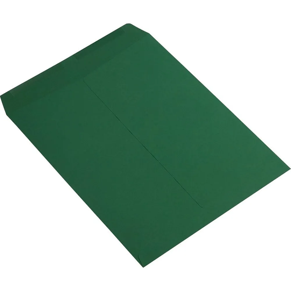 Online JAM Paper Catalog Envelope 10" x 13", Dark Green, 25/Pack (31287538)