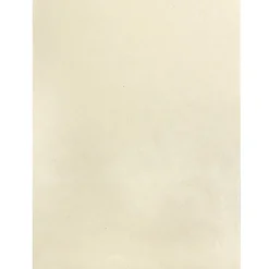 Pocket Folders|JAM Paper Handmade Two-Pocket Recycled Presentation Folders, Ivory Metallic, 100/Box (05964488B)