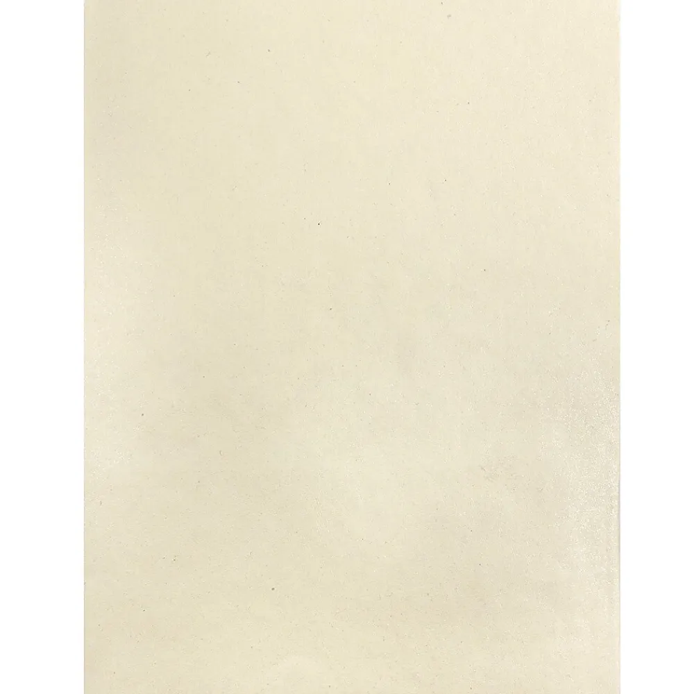 Pocket Folders|JAM Paper Handmade Two-Pocket Recycled Presentation Folders, Ivory Metallic, 100/Box (05964488B)