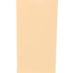 Lunch Totes & Water Bottles|JAM Paper Kraft Lunch Bags, Medium, 5" x 9.75" x 3", Ivory Kraft, Bulk 500 Bags/Box (691KRIVB)