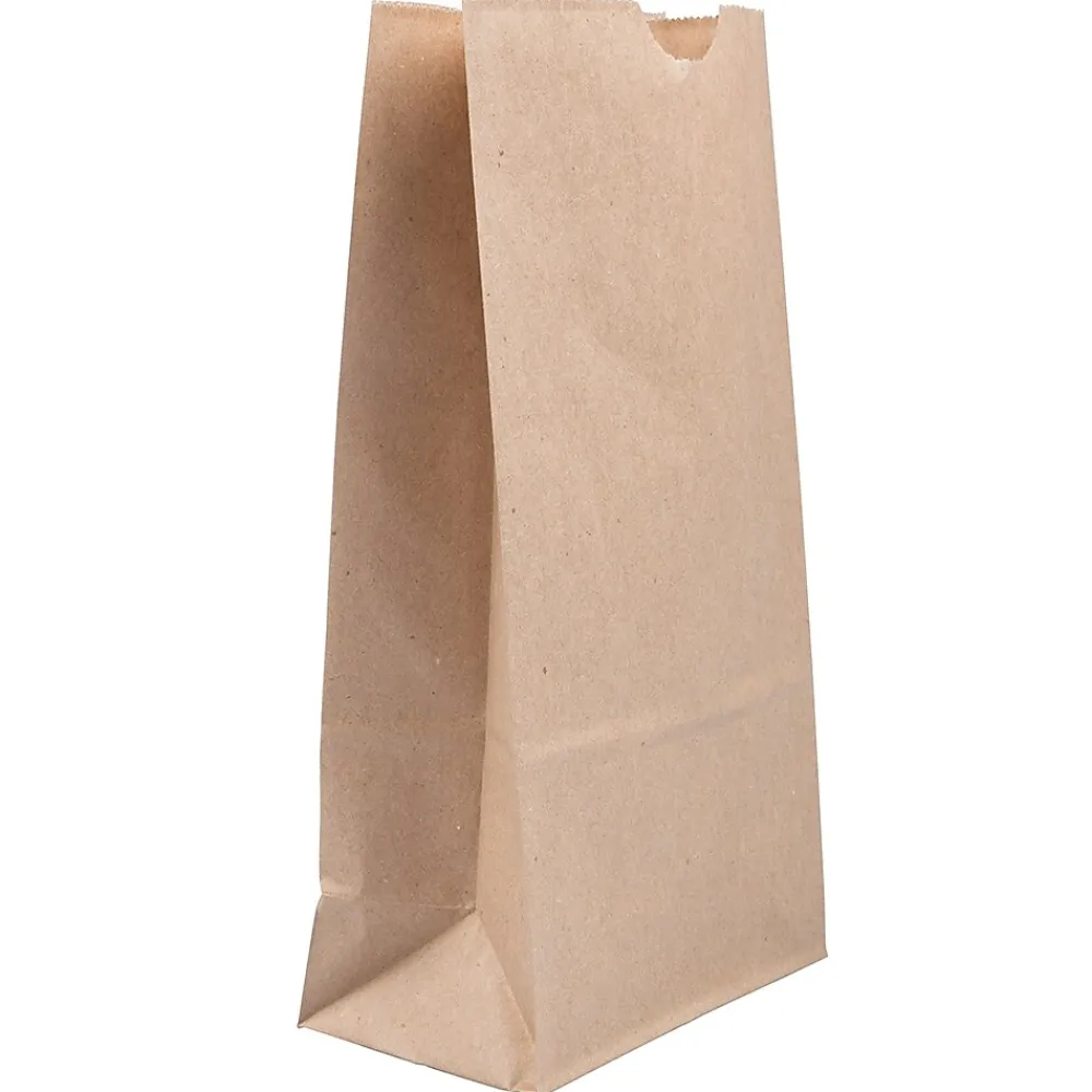 Lunch Totes & Water Bottles|JAM Paper Kraft Lunch Bags, Medium, 9.75" x 5" x 3", Brown Kraft Recycled, 25/Pack (691KRBR)