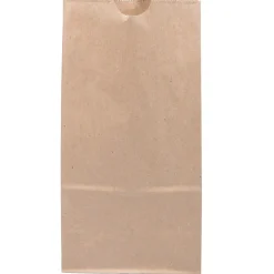 Lunch Totes & Water Bottles|JAM Paper Kraft Lunch Bags, Medium, 9.75" x 5" x 3", Brown Kraft Recycled, 25/Pack (691KRBR)