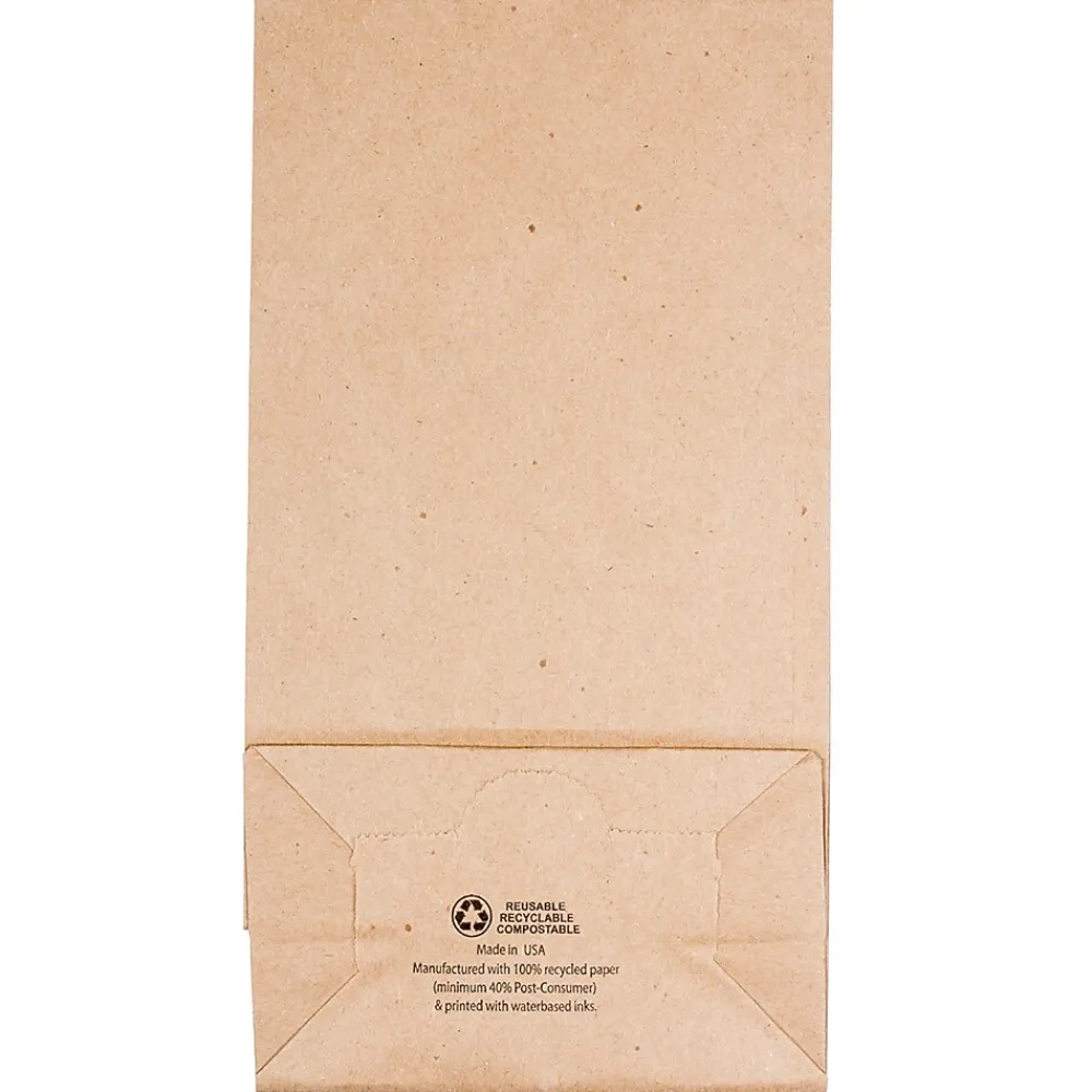 Lunch Totes & Water Bottles|JAM Paper Kraft Lunch Bags, Medium, 9.75" x 5" x 3", Brown Kraft Recycled, 25/Pack (691KRBR)