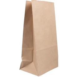 Lunch Totes & Water Bottles|JAM Paper Kraft Lunch Bags, 11" x 6" x 3.5", Brown, 25/Pack (692KRBR)