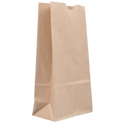 Lunch Totes & Water Bottles|JAM Paper Kraft Lunch Bags, 8" x 4.25" x 2.25", Brown, 500/Pack (690KRBRB)