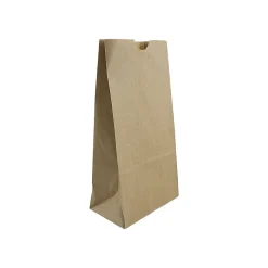 Lunch Totes & Water Bottles|JAM Paper Kraft Lunch Bags, 8" x 4.25" x 2.25", Brown, 500/Pack (690KRBRB)