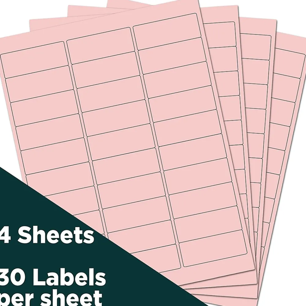 New JAM Paper Laser/Inkjet Address Label, 1" x 2 5/8", , 30 Labels/Sheet, 4 Sheets/Pack (4052895) Baby Pink
