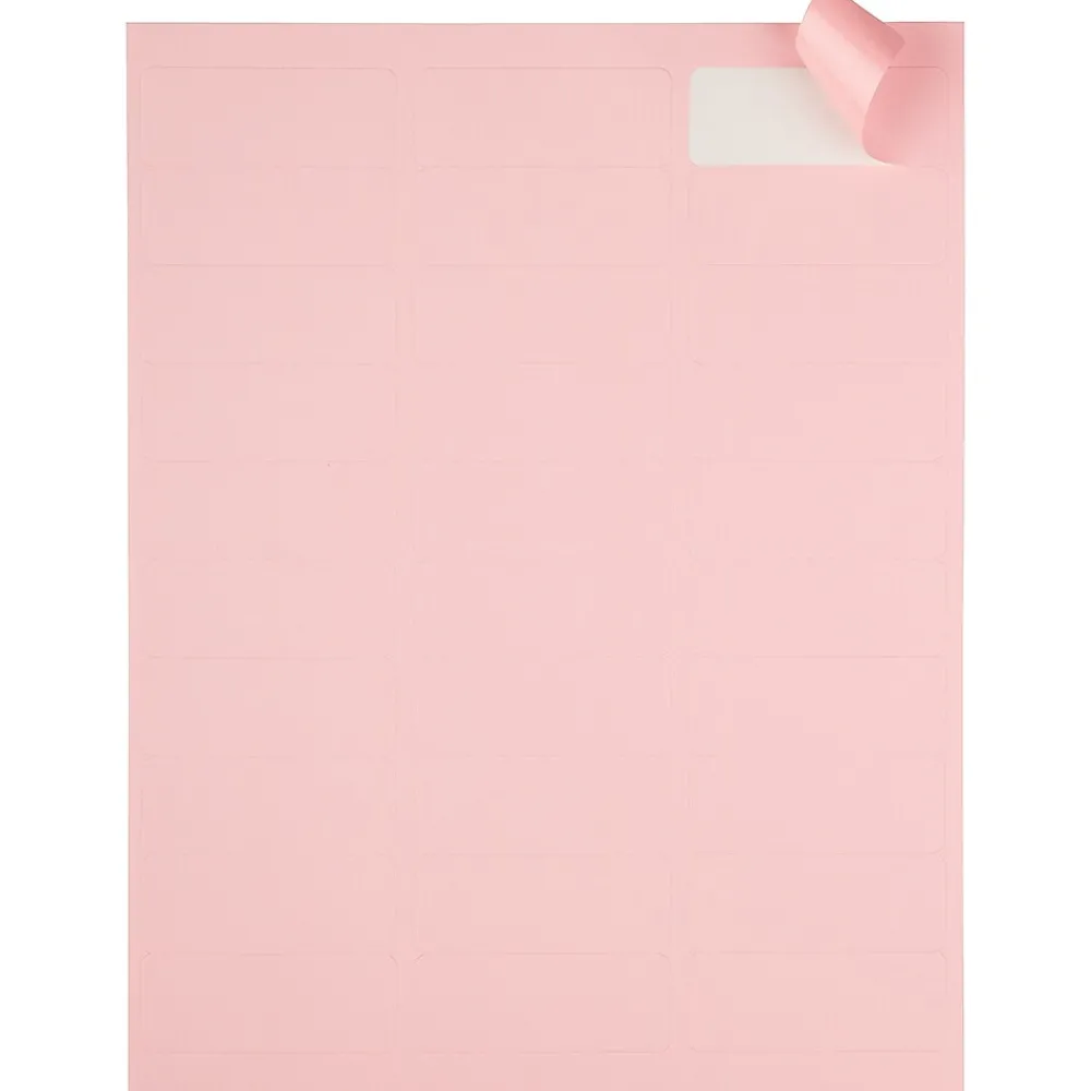New JAM Paper Laser/Inkjet Address Label, 1" x 2 5/8", , 30 Labels/Sheet, 4 Sheets/Pack (4052895) Baby Pink