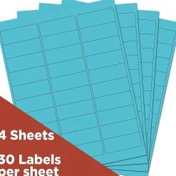 Best JAM Paper Laser/Inkjet Mailing Address Labels, 1" x 2 5/8", , 120 Labels/Pack (302725762) Blue