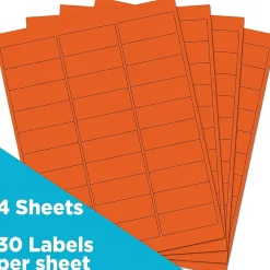 Clearance JAM Paper Laser/Inkjet Mailing Address Label, 1" x 2 5/8", , 30 Labels/Sheet, 4 Sheets/Pack (302725782) Orange