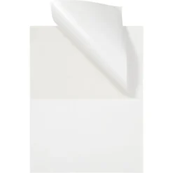 Online JAM Paper Laser/Inkjet Shipping Labels, 5 1/2